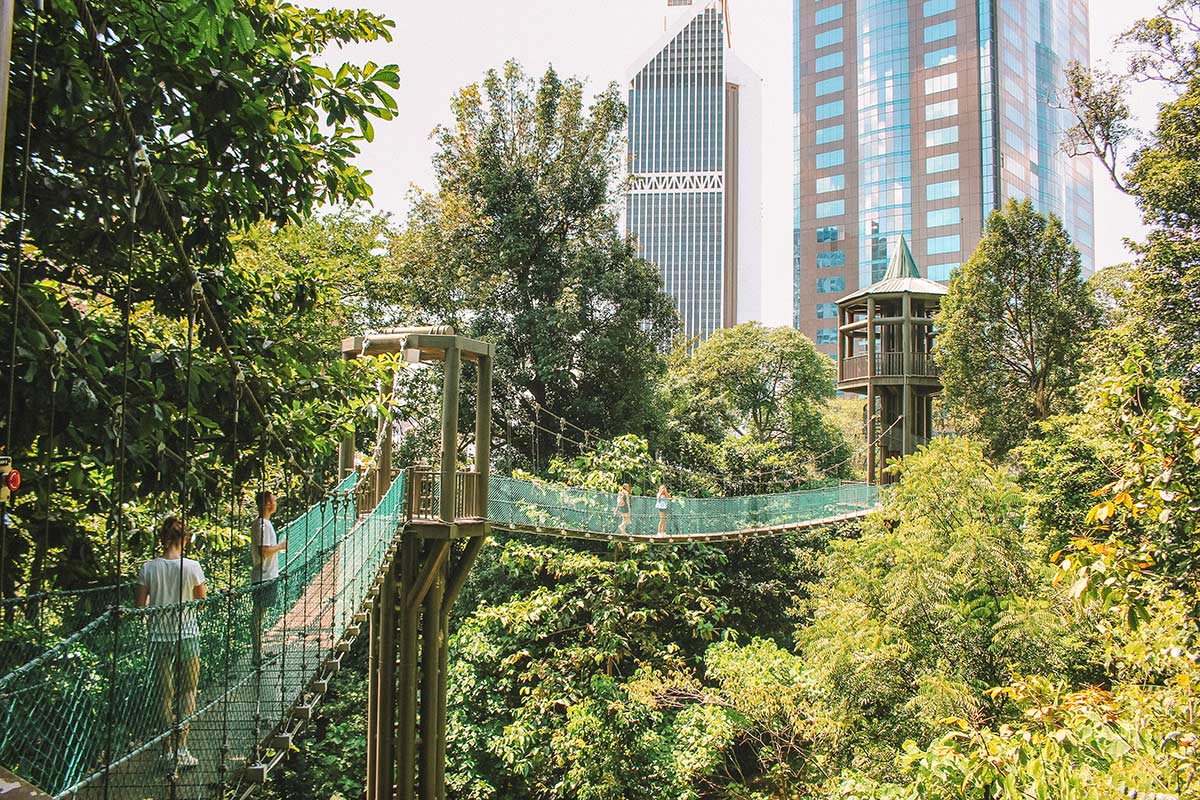 Exploring Kuala Lumpur from Above - KL / Menara Tower and Eco Forest Park | blog post