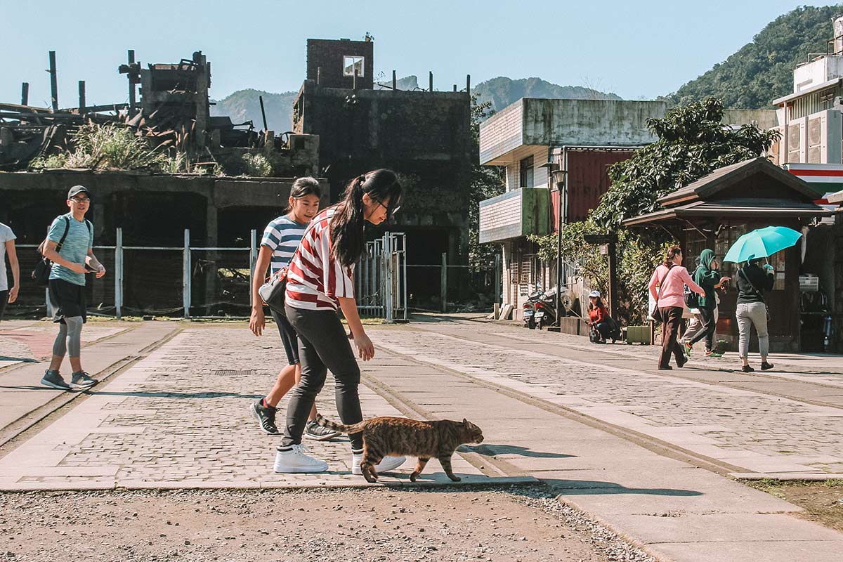 Taipei day trip: Houtong cat village blog post | Taiwan