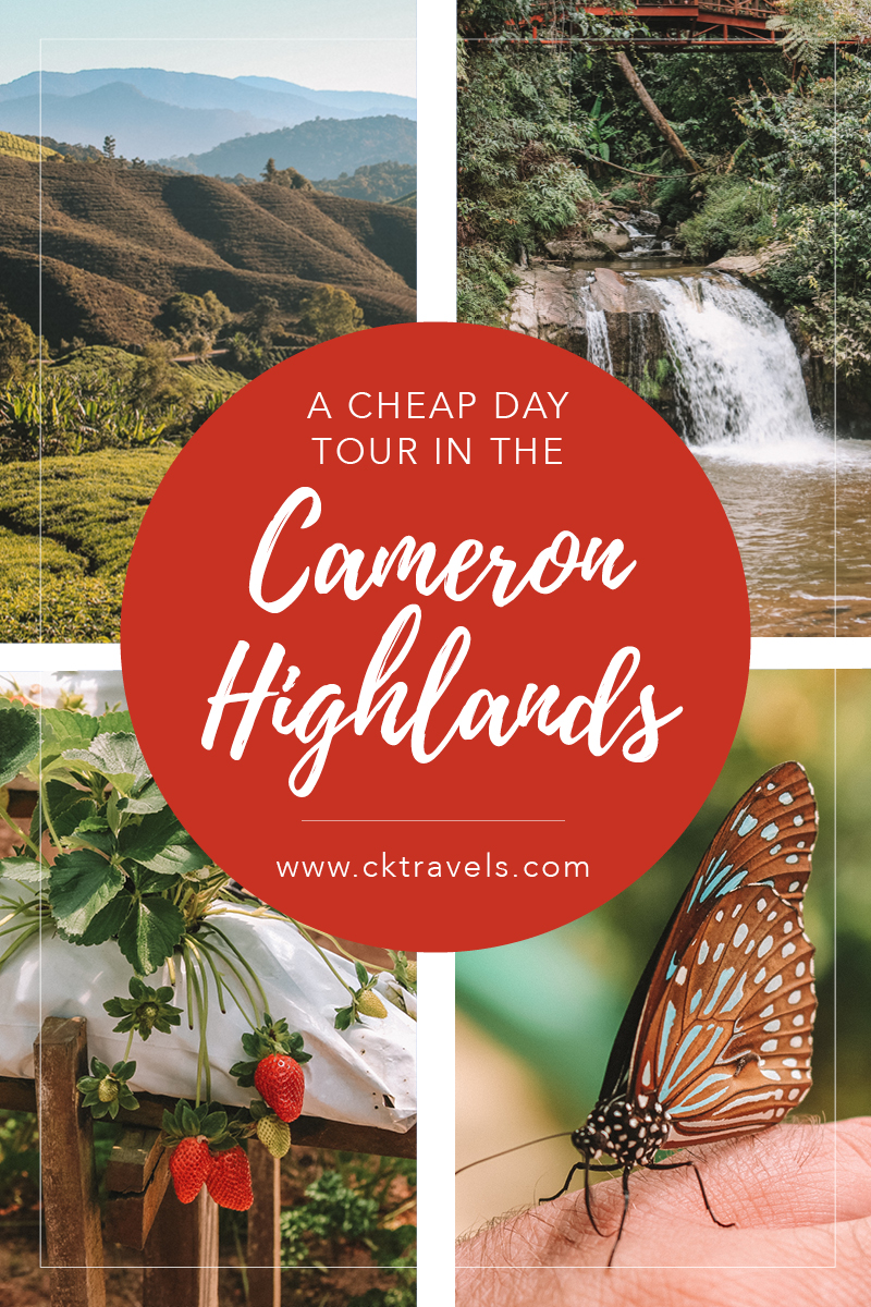 What we saw on a cheap tour in the Cameron Highlands, Malaysia | Blog post