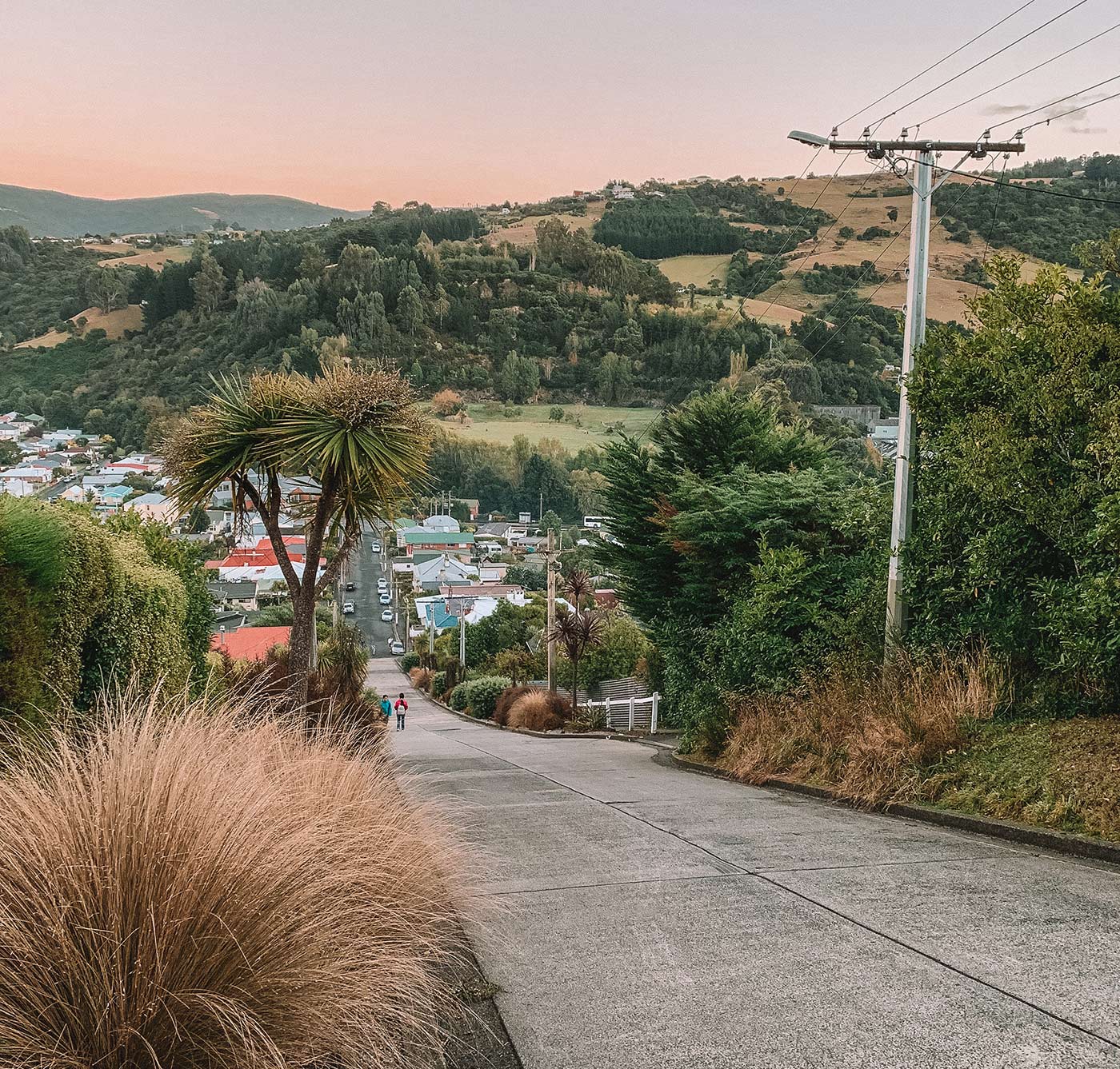 Baldwin Street - the world’s steepest street (for now!) in Dunedin, New Zealand