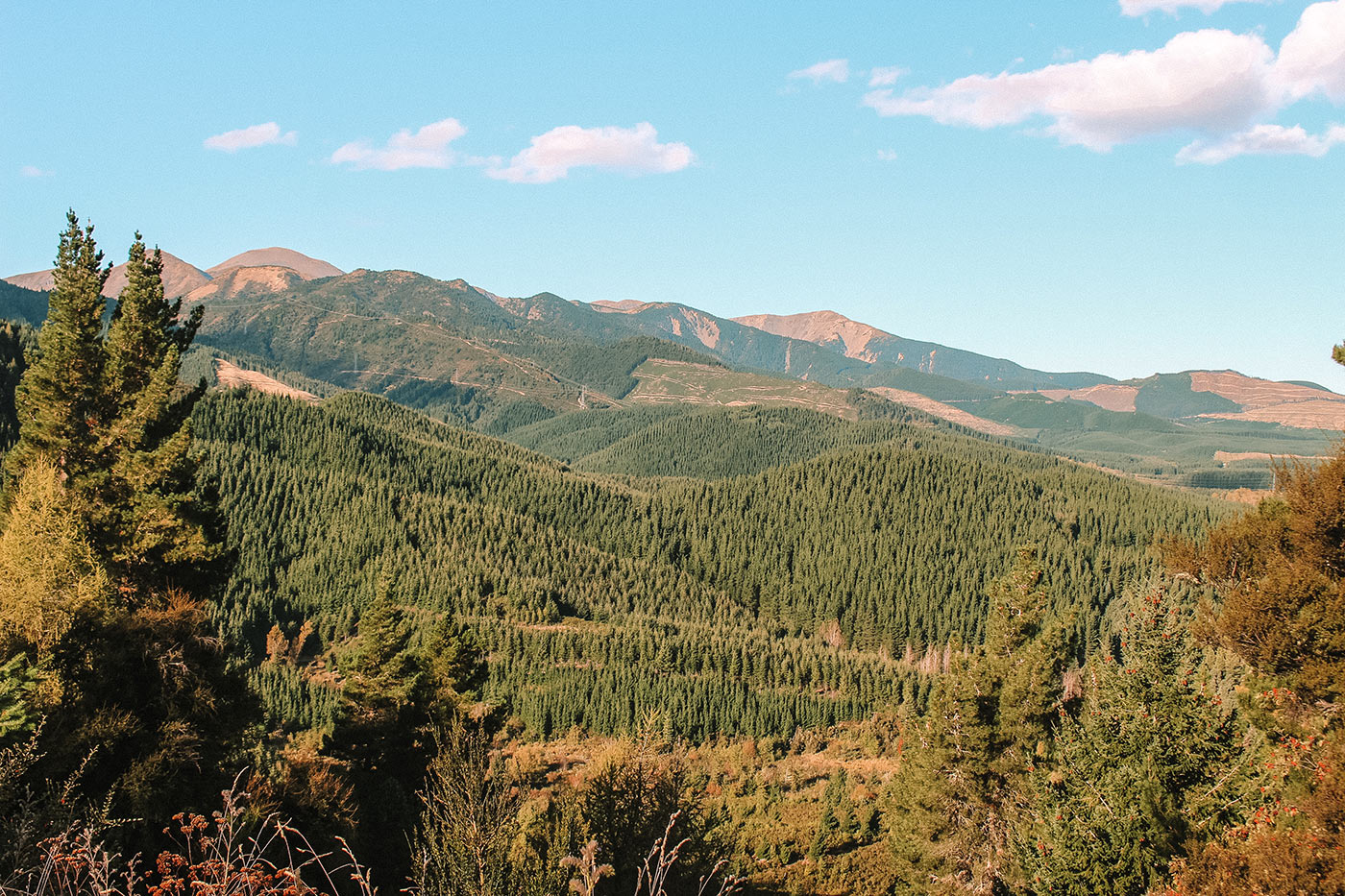 How to spend a day in Hanmer Springs, New Zealand | things to do | blog post | conical hill