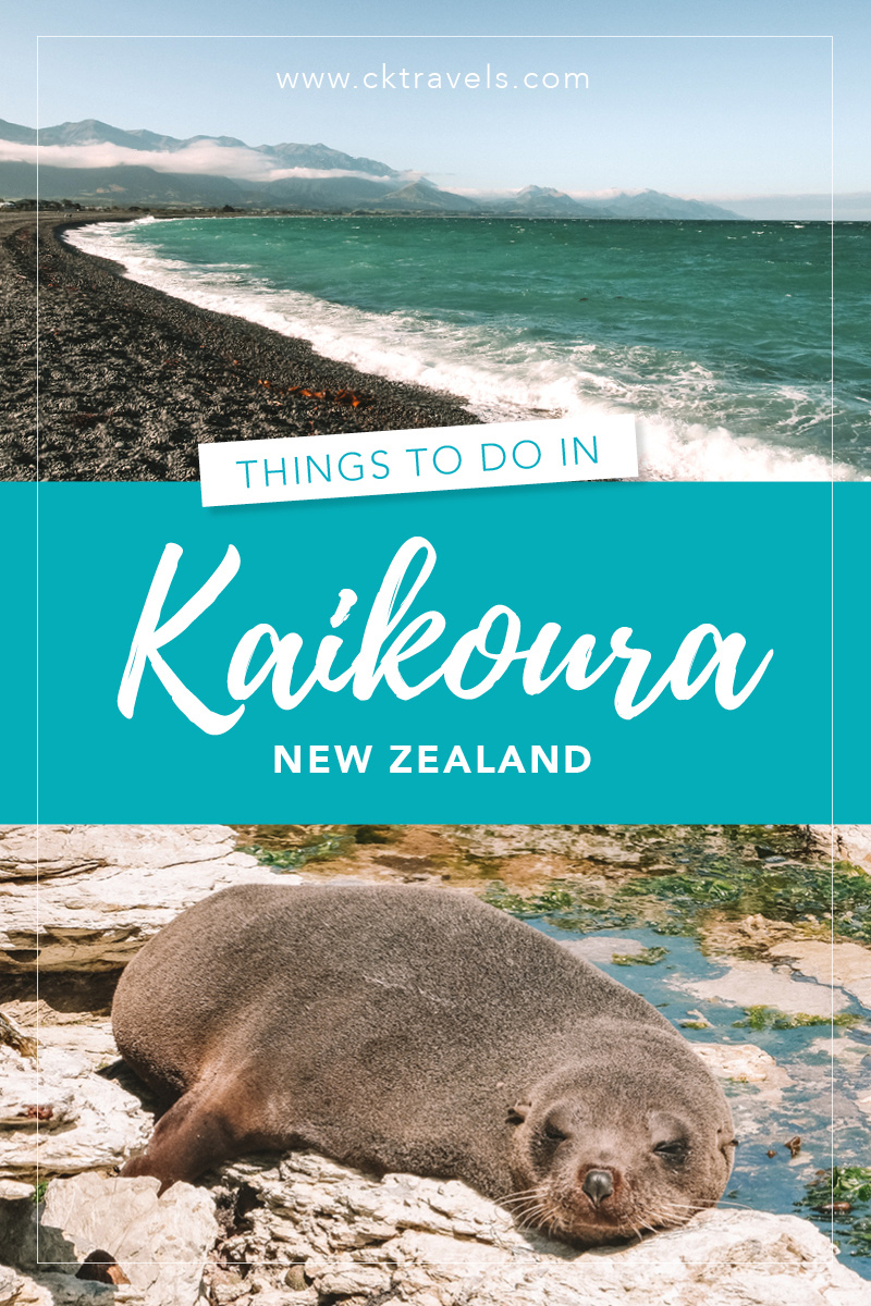Things to do in Kaikoura, New Zealand blog post 