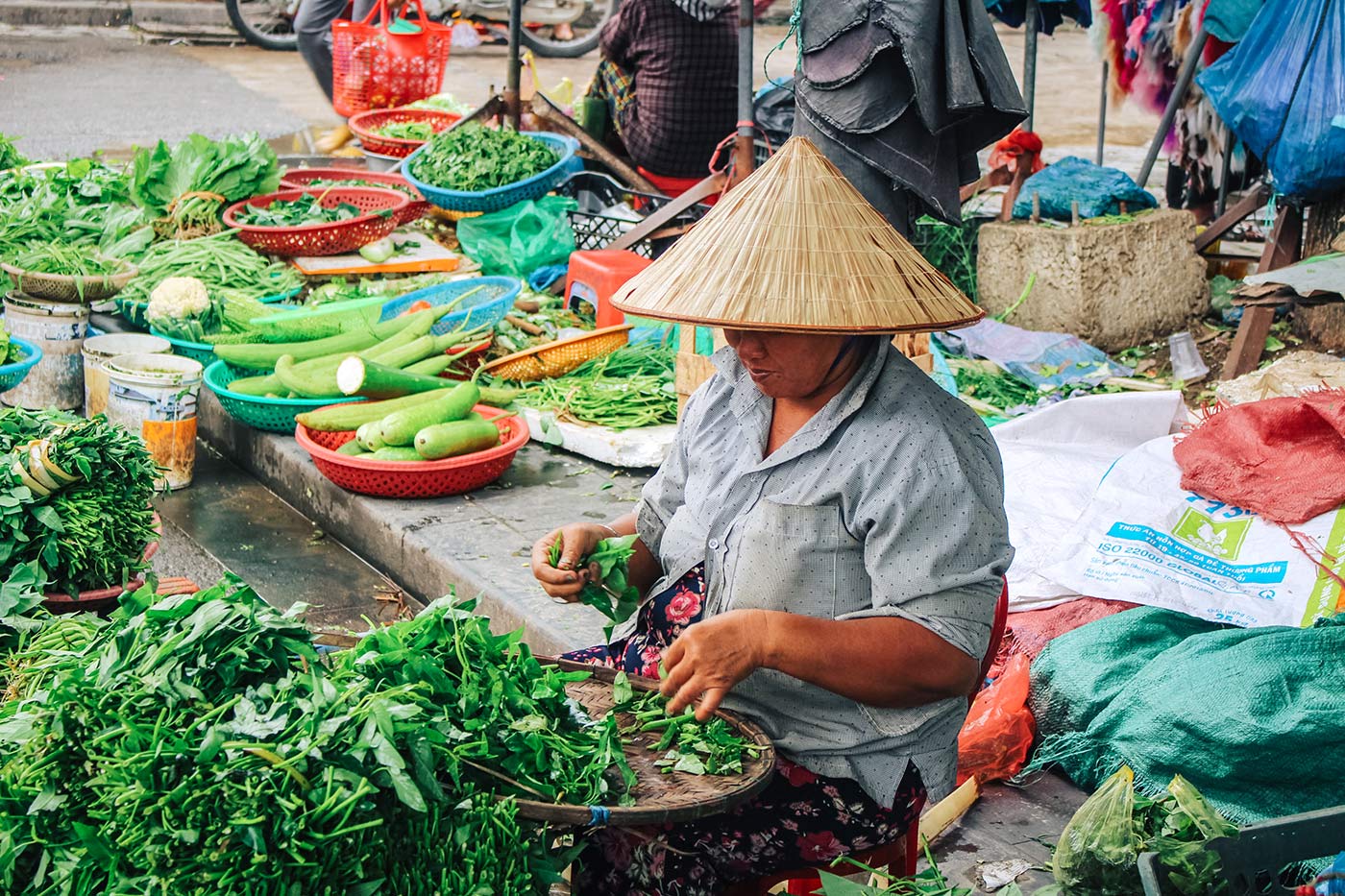Things to do in Hoi An: the ultimate guide blog post