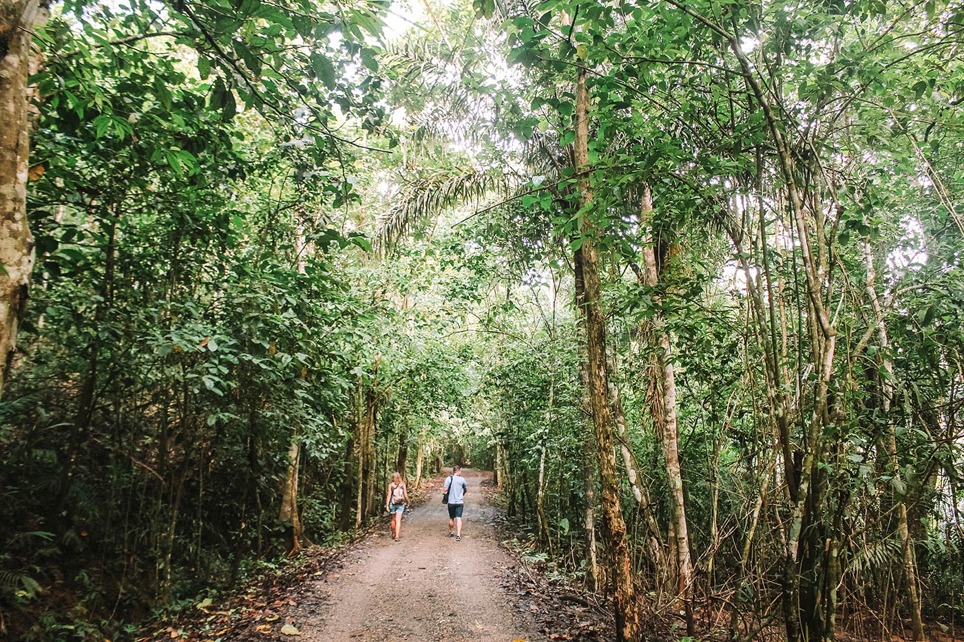 Panama Rainforest Discovery Center / Centre