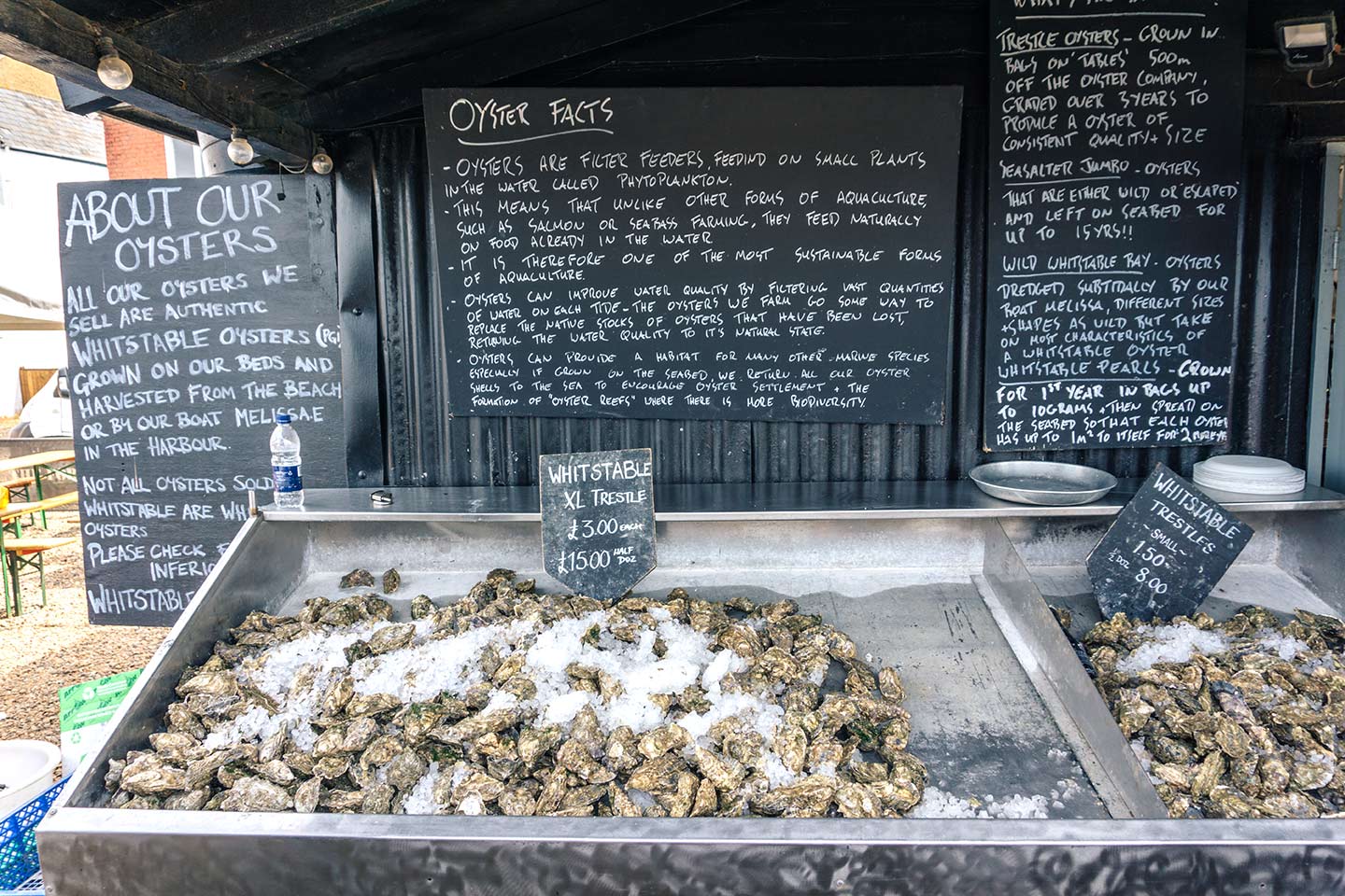 whitstable oysters