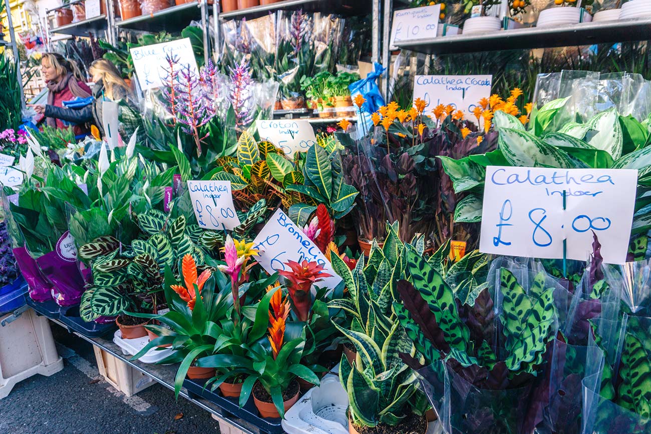 Columbia Road Flower Market, London - a complete guide