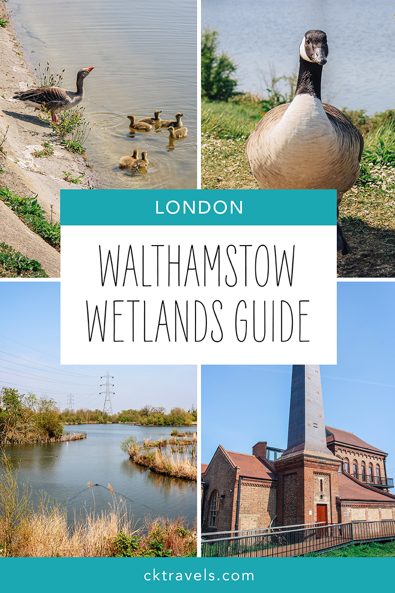A Guide to Walthamstow Wetlands in London
